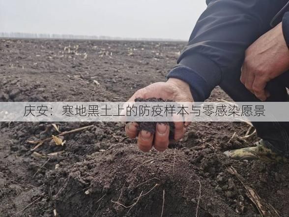 庆安：寒地黑土上的防疫样本与零感染愿景