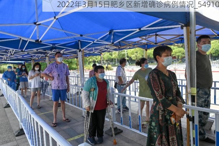 2022年3月15日肥乡区新增确诊病例情况_54910