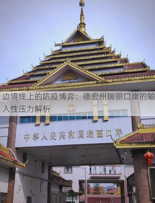 边境线上的防疫博弈：德宏州瑞丽口岸的输入性压力解析