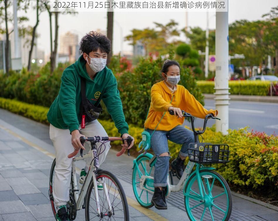 2022年11月25日木里藏族自治县新增确诊病例情况