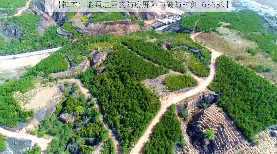 【神木:能源走廊的防疫屏障与破防时刻_63639】