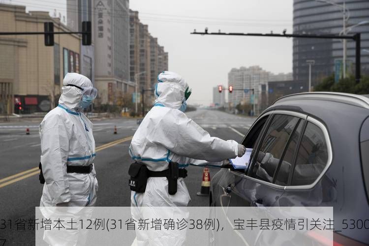31省新增本土12例(31省新增确诊38例)，宝丰县疫情引关注_53007