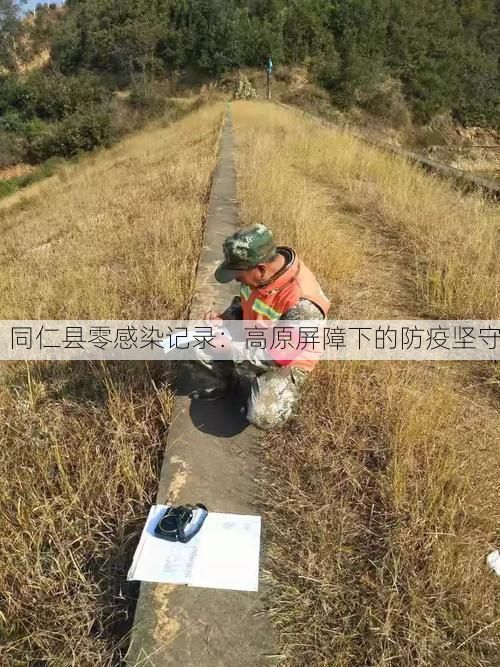 同仁县零感染记录:高原屏障下的防疫坚守