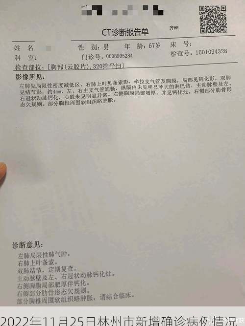 2022年11月25日林州市新增确诊病例情况