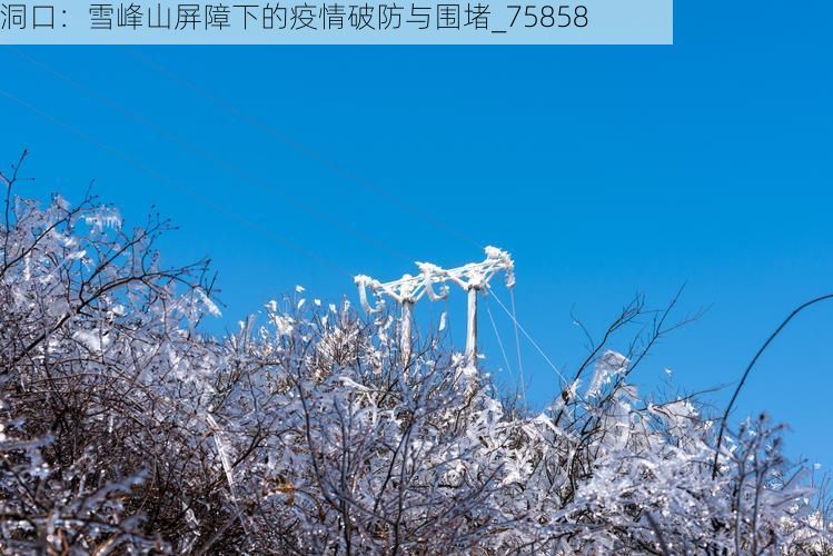 洞口：雪峰山屏障下的疫情破防与围堵_75858