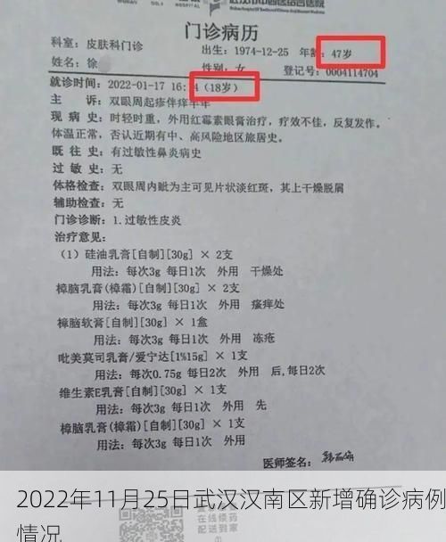 2022年11月25日武汉汉南区新增确诊病例情况