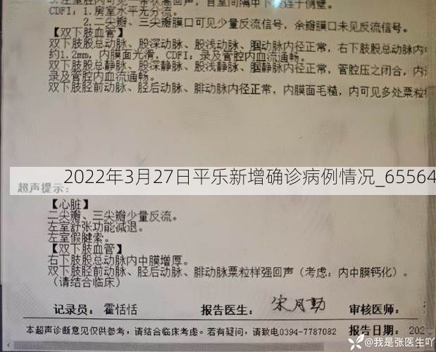 2022年3月27日平乐新增确诊病例情况_65564