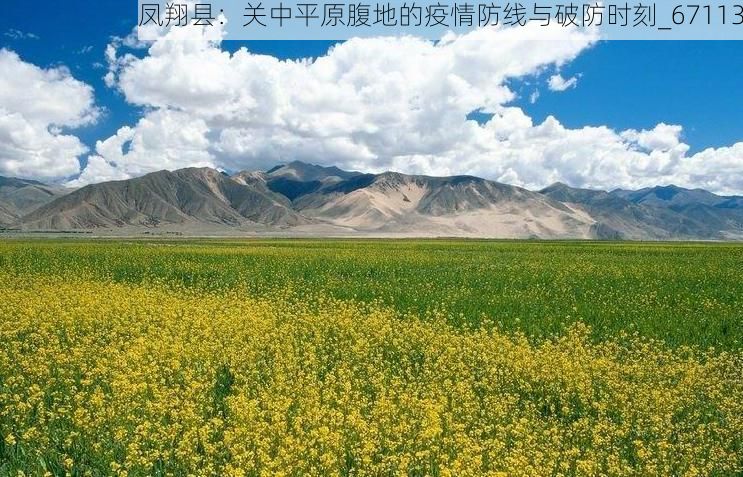 凤翔县:关中平原腹地的疫情防线与破防时刻_67113