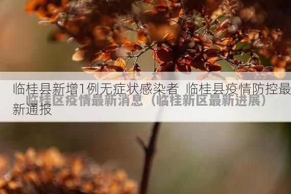 临桂县新增1例无症状感染者  临桂县疫情防控最新通报