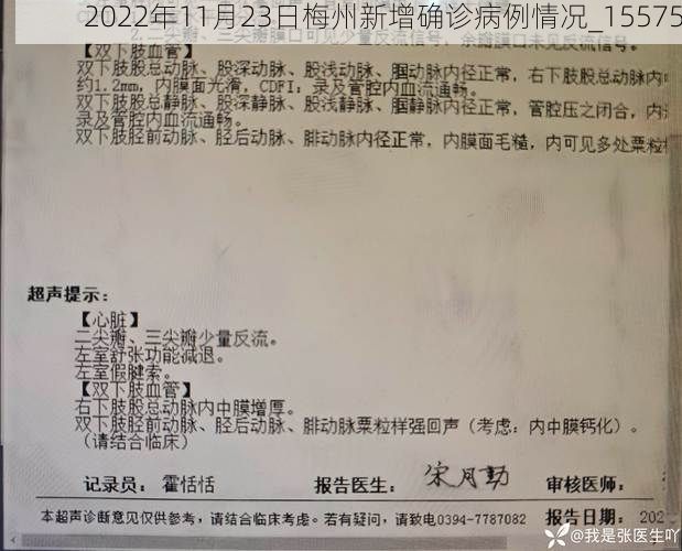 2022年11月23日梅州新增确诊病例情况_15575