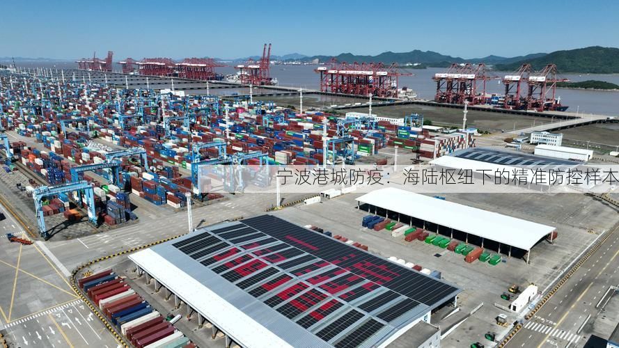 宁波港城防疫：海陆枢纽下的精准防控样本
