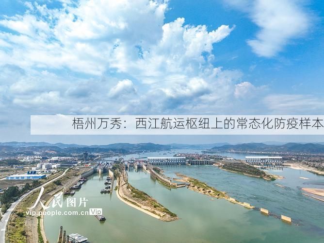 梧州万秀：西江航运枢纽上的常态化防疫样本