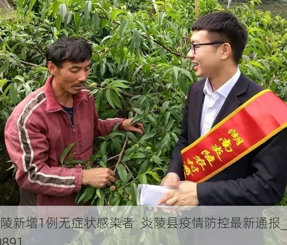 炎陵新增1例无症状感染者  炎陵县疫情防控最新通报_10891