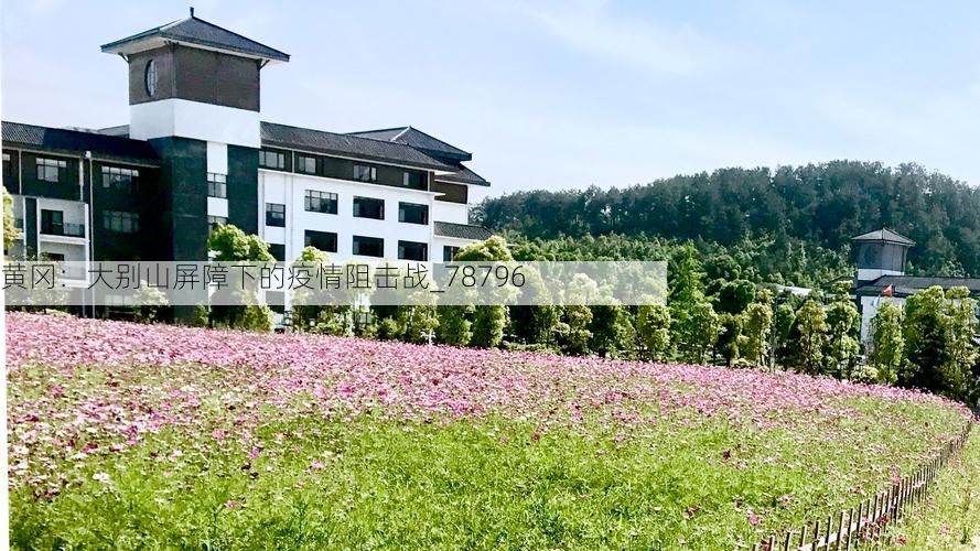 黄冈：大别山屏障下的疫情阻击战_78796
