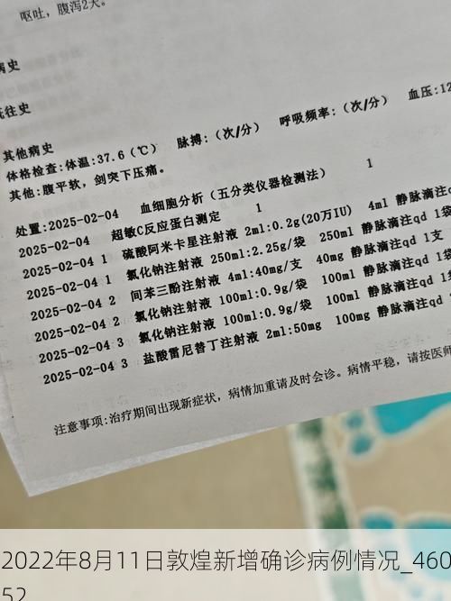 2022年8月11日敦煌新增确诊病例情况_46052