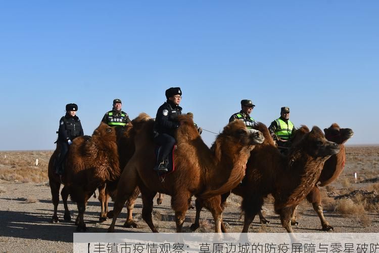 【丰镇市疫情观察：草原边城的防疫屏障与零星破防】