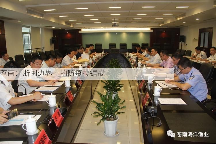 苍南：浙闽边界上的防疫拉锯战