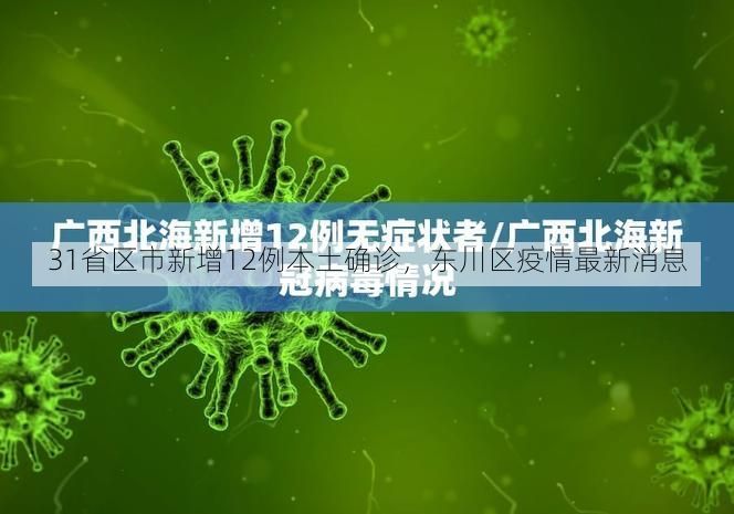 31省区市新增12例本土确诊，东川区疫情最新消息