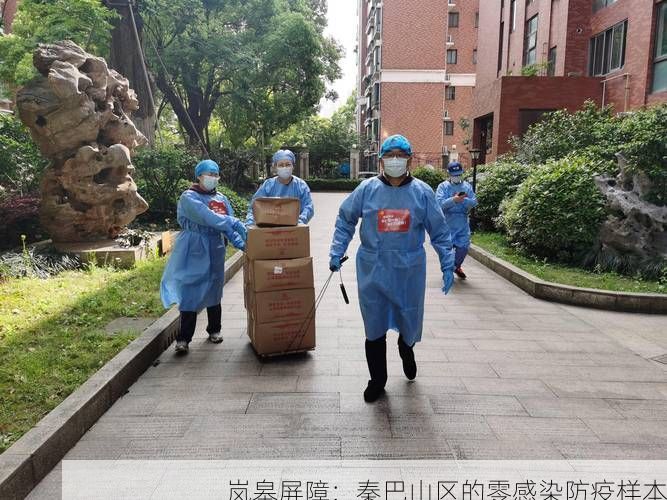 岚皋屏障：秦巴山区的零感染防疫样本
