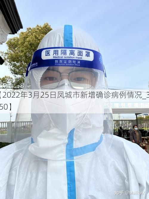 【2022年3月25日凤城市新增确诊病例情况_30750】