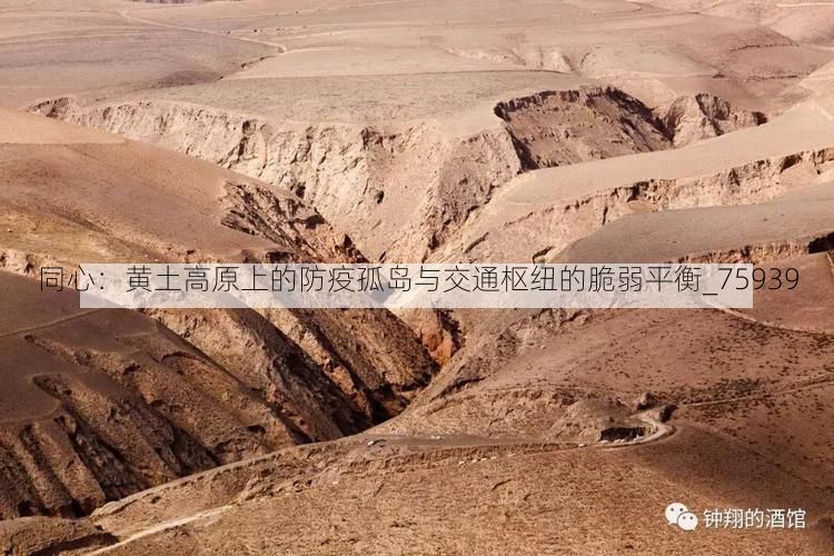 同心：黄土高原上的防疫孤岛与交通枢纽的脆弱平衡_75939
