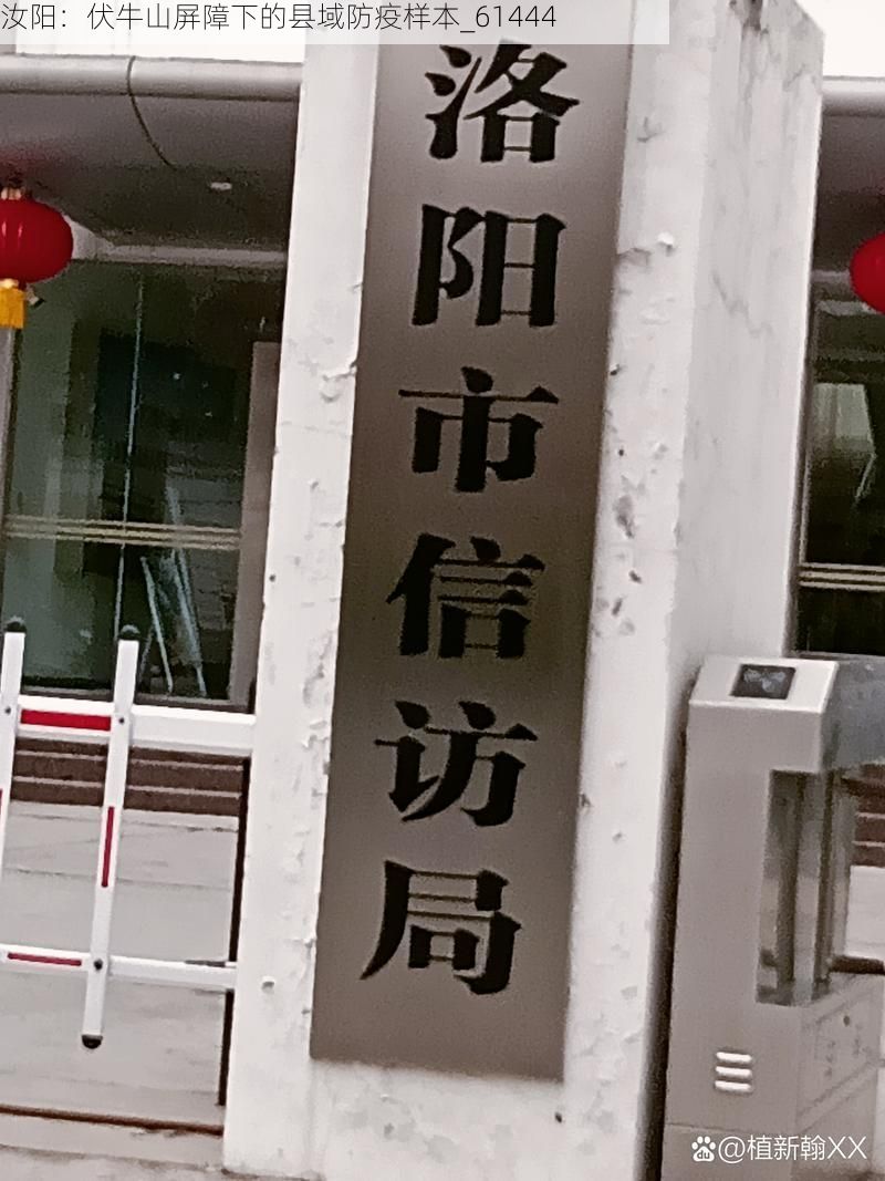 汝阳：伏牛山屏障下的县域防疫样本_61444