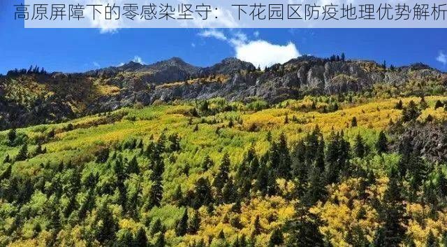 高原屏障下的零感染坚守：下花园区防疫地理优势解析