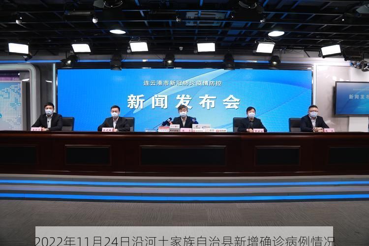 2022年11月24日沿河土家族自治县新增确诊病例情况