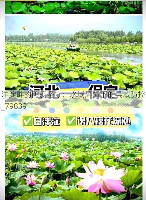 白洋淀畔的防疫坚守：水域屏障下的县域防控样本_79839