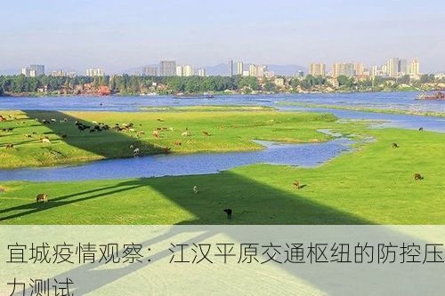 宜城疫情观察：江汉平原交通枢纽的防控压力测试