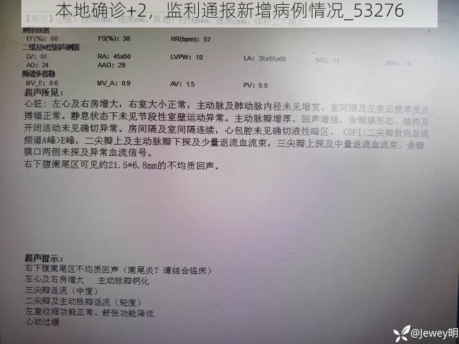 本地确诊+2，监利通报新增病例情况_53276