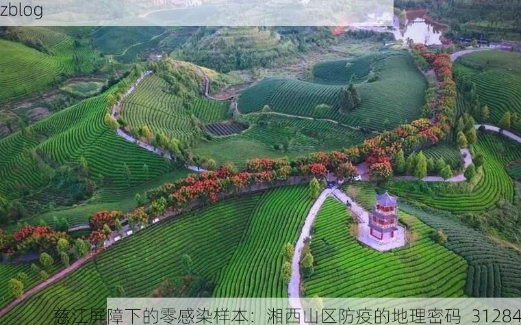 慈江屏障下的零感染样本：湘西山区防疫的地理密码_31284
