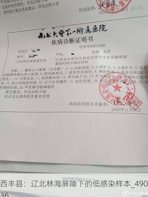 西丰县:辽北林海屏障下的低感染样本_49036