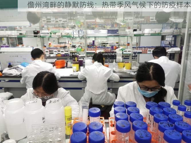 儋州湾畔的静默防线:热带季风气候下的防疫样本