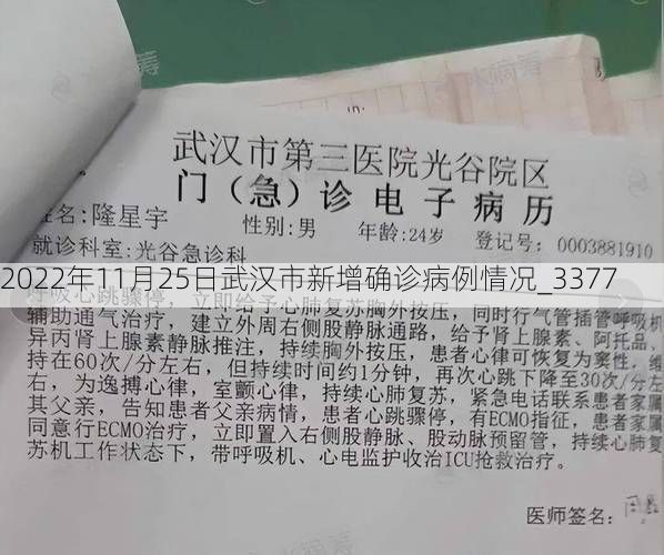 2022年11月25日武汉市新增确诊病例情况_3377