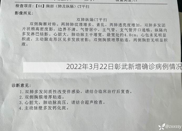 2022年3月22日彰武新增确诊病例情况
