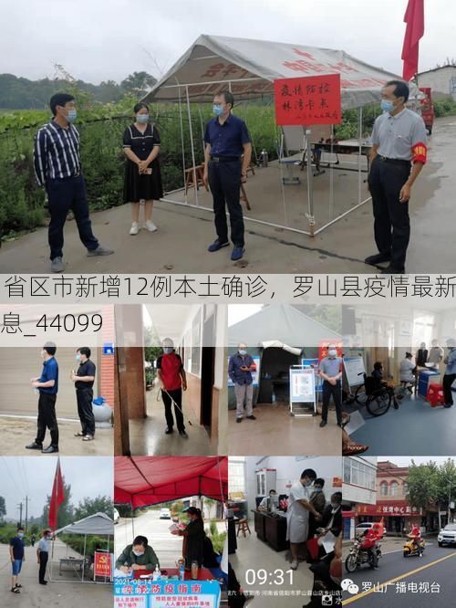 31省区市新增12例本土确诊,罗山县疫情最新消息_44099