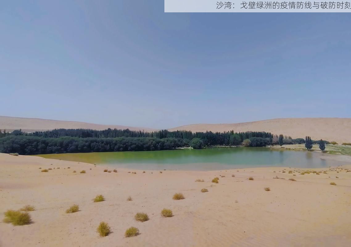 沙湾:戈壁绿洲的疫情防线与破防时刻