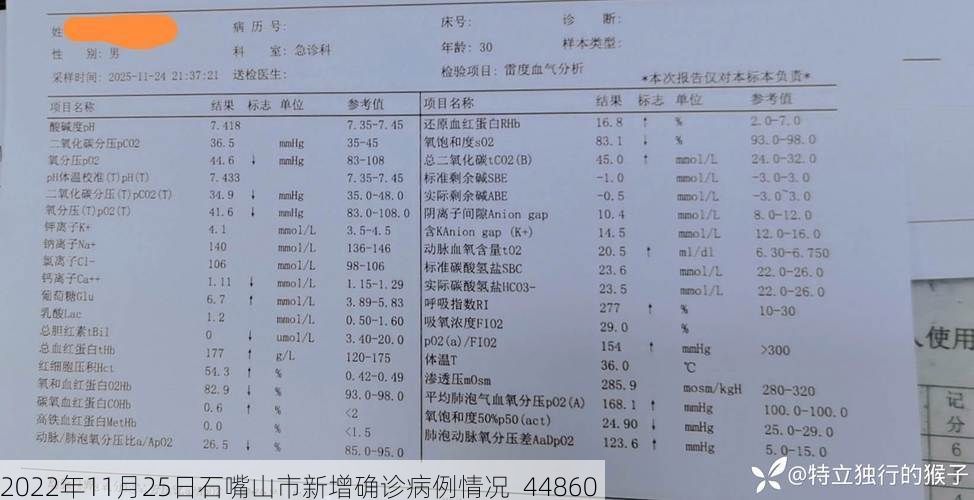 2022年11月25日石嘴山市新增确诊病例情况_44860