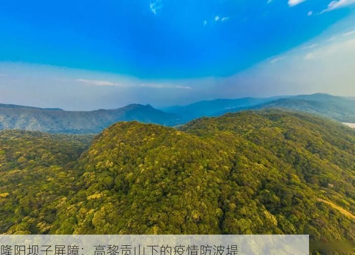 隆阳坝子屏障:高黎贡山下的疫情防波堤