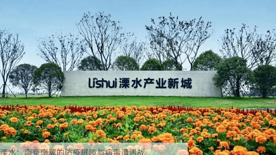 溧水:南京南翼的防疫屏障与病毒遭遇战
