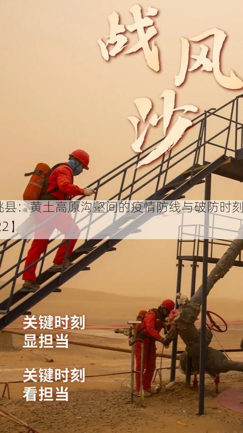 【临洮县：黄土高原沟壑间的疫情防线与破防时刻_71022】