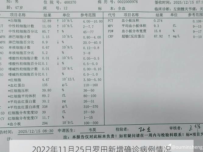 2022年11月25日罗田新增确诊病例情况