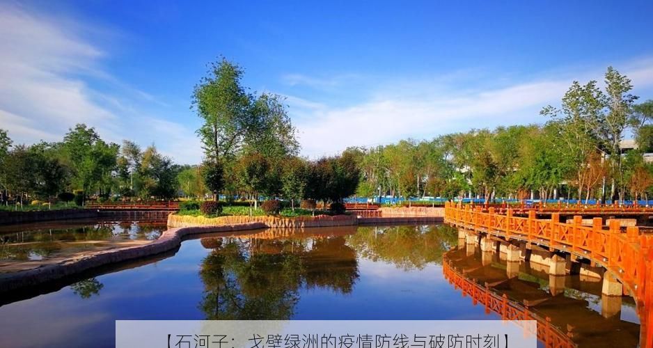 【石河子:戈壁绿洲的疫情防线与破防时刻】