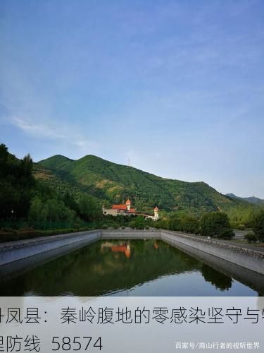 丹凤县:秦岭腹地的零感染坚守与物理防线_58574