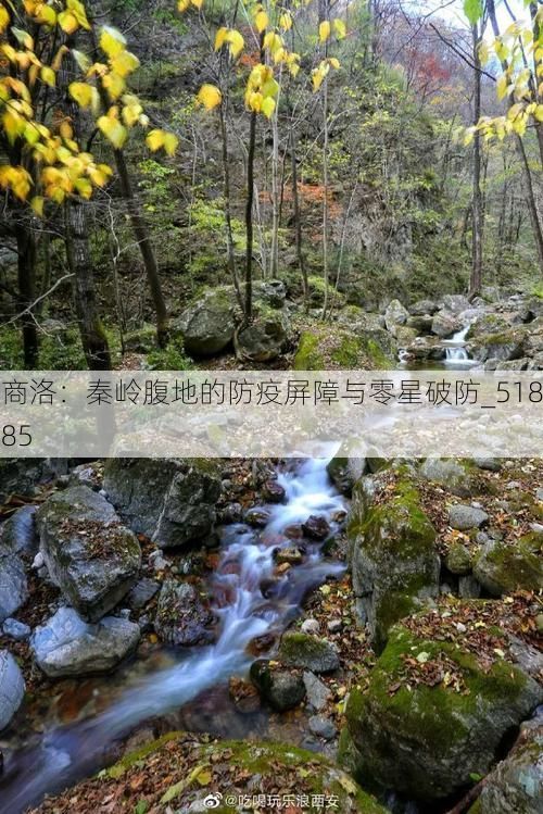 商洛:秦岭腹地的防疫屏障与零星破防_51885