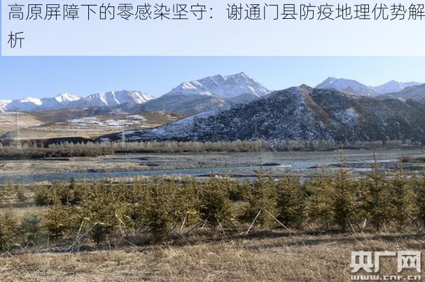 高原屏障下的零感染坚守:谢通门县防疫地理优势解析