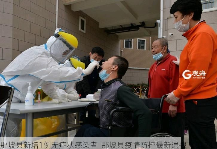 那坡县新增1例无症状感染者 那坡县疫情防控最新通报_48124