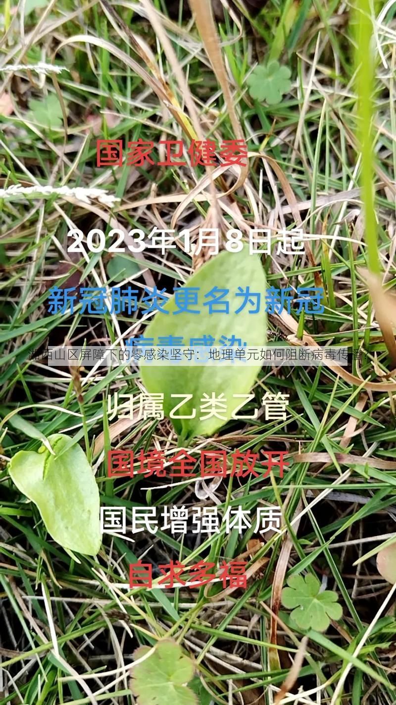 湘西山区屏障下的零感染坚守:地理单元如何阻断病毒传播?