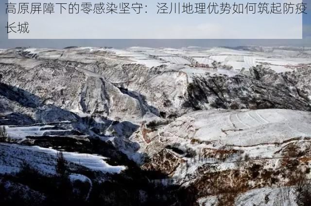 高原屏障下的零感染坚守:泾川地理优势如何筑起防疫长城